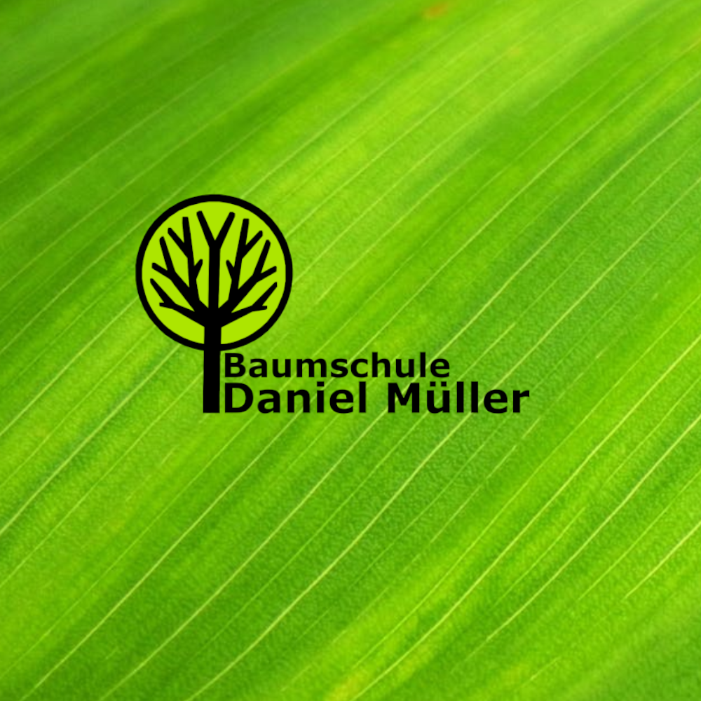 Daniel Müller